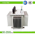 11kv Oil Cooled Oil-Immersed Power Transformer (250kVA)